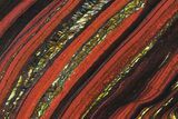 Polished Tiger Iron Stromatolite - ( Billion Years) #72909-1